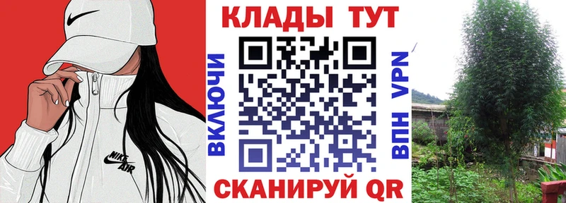 Сколько стоит Оса ГАШ  Конопля  A-PVP  Мефедрон 