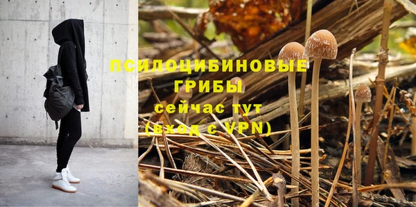 первитин Богданович