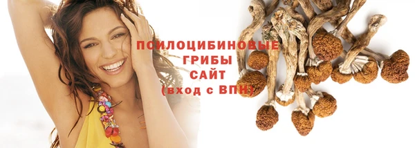 первитин Богданович